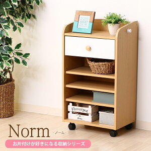 [  ] S̐ޒmƋ hZbN {I  [ [bN ǂ rObN ސ LbY @\ VFt 41.5cm Ch oЕtD