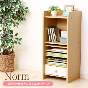 [  ] S̐ޒmƋ hZbN {I  [ [bN ǂ rObN Xg[WbN ސ LbY @\ VFt 38cm ЕtD