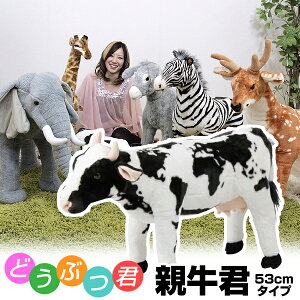 [  ] ω׏d80kg lʂ ʂ u Xc[ EV (  j Aj}  yI΂ꋍNIz 邩yIn̊炪ȂƂȂ