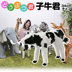 楽天市場 動物園 ぬいぐるみの通販