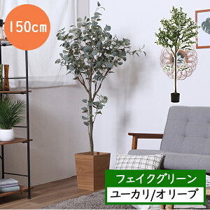 [  ] ϗtA CeA lHϗtA  lH tFCN ̂Ȃ JtF ItBX X Cxg  u   tρ tFCNO[ [ 150cm ] 