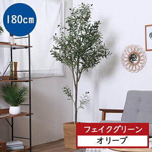 [  ] ϗtA CeA lHϗtA  lH tFCN ̂Ȃ JtF ItBX X Cxg  u   tρ tFCNO[ [ 180cm ] 