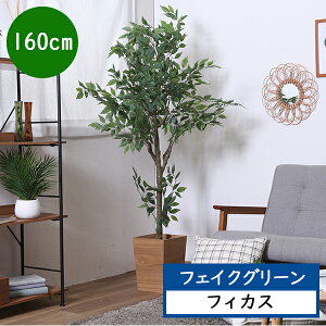 [  ] ϗtA CeA lHϗtA  lH tFCN ̂Ȃ JtF ItBX X Cxg  u   tρ tFCNO[ [ 160cm ] 