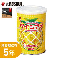 保存食 パインアメ缶（賞味期限：2030年7月）【防災グッズ 食品 お菓子 菓子 アメ 飴 キャンディ 缶詰 非…