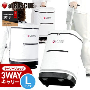 ybNPi̔ / LTCYzpo s^ L[bN 傫߃TCYyz˔ Vo[ 3way ] w  ^[|bN hЗpi ObY h