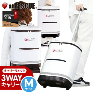 ybNPi̔ / MTCYzpo s^ L[bN ʃTCYyz ˔ Vo[ 3way ] w  ^[|bN hЗpi ObY W