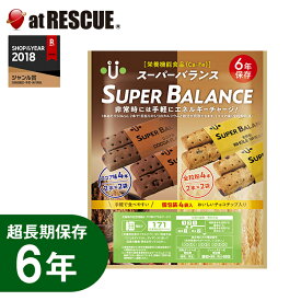 スーパーバランス/バランスパワー【単品】【非常食/保存食/キャンプ/登山/アウトドア/備蓄/法人】＜防災セット・防災グッズ＞