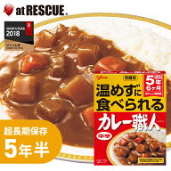 グリコ常備用カレー職人【中辛】1食分 5年保存 備蓄 食料 保存食 食品 防災食 非常食 キャンプ 登山 アウ…