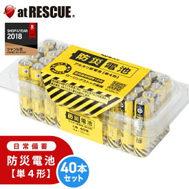防災電池 単4形【40本パック】超長期保存【保存期間：2034年9月】 日常備蓄 電池 パック 買い置き 防災 備品 家電用 おもちゃ用 ゲーム機用【台風 停電対策】【台風 停電対策】