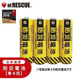 防災電池 超長期保存（単4形・4本パック）【保存期間：2034年9月】 日常備蓄 電池 パック 買い置き 防災 備品 家電用 おもちゃ用 ゲーム機用【台風 停電対策】【台風 停電対策】