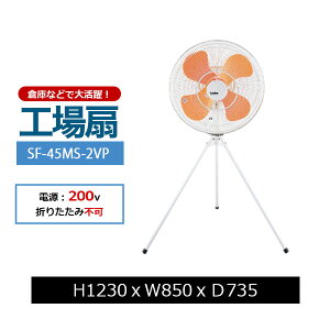 yN[|zXCf H Ɩp ^@ SK-SF-45MS-2VPy ԏni ԕiszylzsz