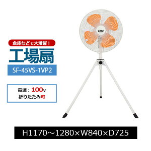 yN[|zXCf H Ɩp ^@ SK-SF-45VS-1VP2y ԏni ԕiszylzsz