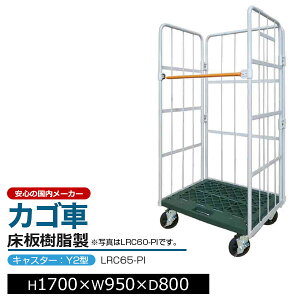 �J�S��� �R���r�e�i�[ ������ LRC65-PI �L���X�^�[�FY2�^H170cm×W95cm×D80cm �A�C�{���[�J�S�� ���[���{�b�N�X�p���b�g �{�b�N�X�p���b�g �R���e�i �H�� �q�� �^�� �Ɩ��p�y�ԏ�n���i �ԕi�s�� 