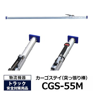 yN[|zI[Z[t J[SXeCi˂_j CGS-55M@allsafegbNpi pi gbNp ˂_ J[So[ J[SXeC gbN  ב `Fbg ו