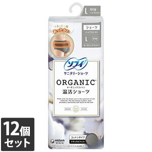 yȂVRbgEFbgv[gzjE`[ 12Zbg \tB I[KjbNRbg V[c Rbg^Cv O[ LTCY