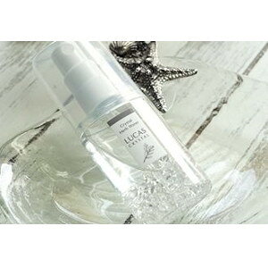 yVbv[4.8zq[O򉻃tOXLUCAS Pocket򉻃Xv[ NX^ij