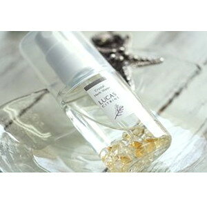 yVbv[4.8zq[O򉻃tOXLUCAS Pocket򉻃Xv[ Vg@2Zbg