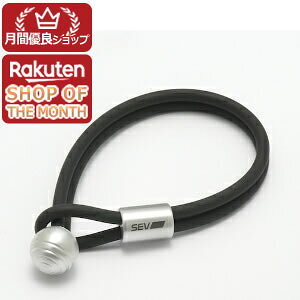 SEV �Z�u ���[�p�[�u���X���b�g2 �u���b�N 21cm
