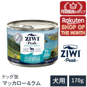 yVbv[4.8zyZIWI Peak@WEBs[N@hbOʁzy}bJ[& 170gz EFbgt[h Y hbOt[h  OCt[ sgp@h{H@