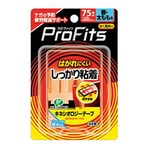 yzsbv vEtBbc LlVIW[e[v S75mm × 4.0m Ep 1 1