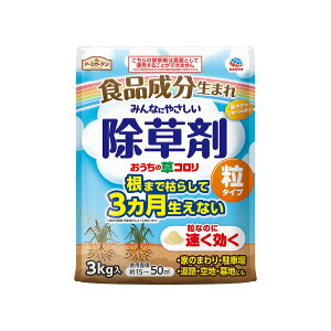 yzA[X A[XK[f ̑R ^Cv 3kg  1