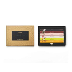 yz܂z{ ESTEBAN GXeo NVbN pglRt 6 1