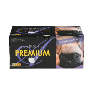 yzcY lґ}XN PREMIUM V7 v~A 30 1
