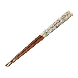 【送料込・まとめ買い×6個セット】スケーター 塗り箸 21cm ボタニカル ディズニープリンセス ANN4SQ