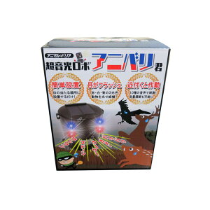 yzCeWp IJ-ANB21 Aj}oA { AjoN 1