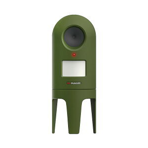 yzTV g L悯 L REP-600 ˂΍ 1