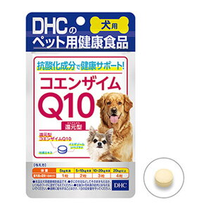 yz܂zDHC ybgpNHi p RGUCQ10 Ҍ^ 60 1