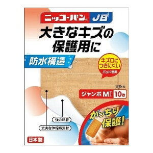 y×6 z܂zAi jbR[oJB No.516 W{ MTCY 10 Jnp h\