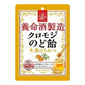 yz܂z{𐻑 NW ̂ǈ I݂͂ 76g 1