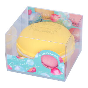 yzBt[T[rX }J oXtOX oj  1