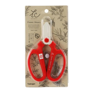 yz⌹ nhNG[V F-170 |p͂ 1