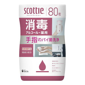 yz{NVA XRbeB EFbgeBV[  AR[ p 80 1