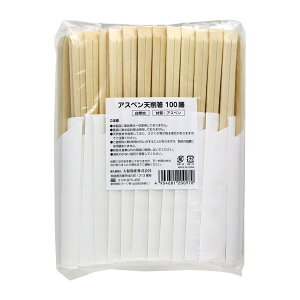 yzaY AXyV픢 nnJ} 100V 1