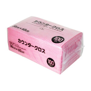 yzaY JE^[NX sN 100 1