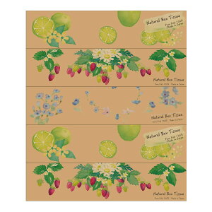 yzJ~ GA Kazaru×Krafty i` eBbVy[p[ 1