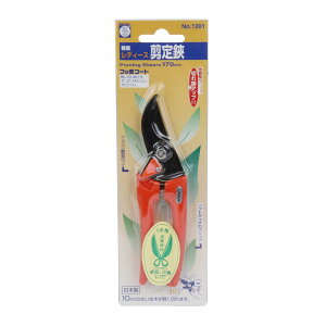 yE܂Ƃߔ×6ZbgzT{e fB[X  IW