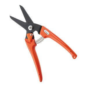 yE܂Ƃߔ×12ZbgzT{e fB[X X  IW ͂