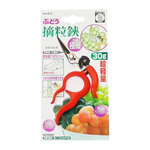 y×3 z܂zT{e Ԃǂ K B-2