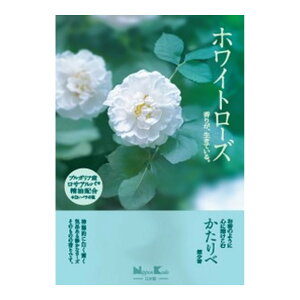 yE܂Ƃߔ×5Zbgz{  zCg[Y ^ol 200g 