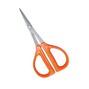 y×3 z܂zߐ `J}T XeX tbf ԂǂnT~ B-300SF |pi