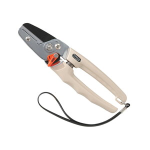 �y�z�����܂����zSaboten �T�{�e�� ������ �A���r���^ NO.1270 ���|�p�i 1��