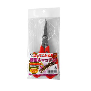 yE܂Ƃߔ×12ZbgzSaboten T{e Lb`nT~ No.B-4 |pi