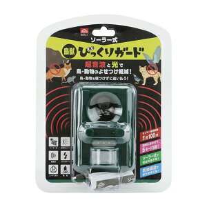 yzY ZteB[3 \[[bтK[h SSTJ-1 H 1