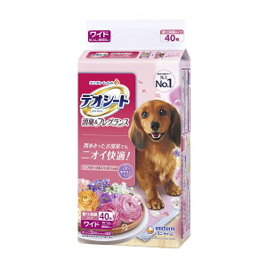 yE܂Ƃߔ×6ZbgzjE`[ ybg fIV[g L & tOX t[V{̍ Ch 40