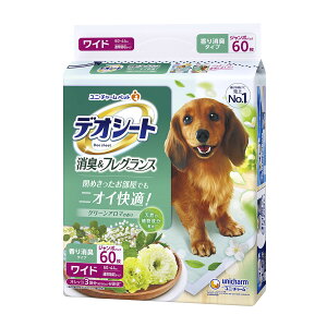 yE܂Ƃߔ×4ZbgzjE`[ ybg fIV[g L & tOX O[A}̍ Ch 60