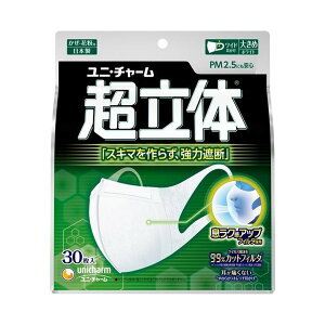 yzjE`[ K ̃}XN }XN 傫 zCg 30 1
